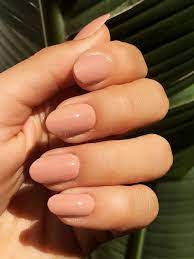 Nail Shape