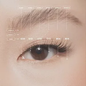 What is a monolithic eye